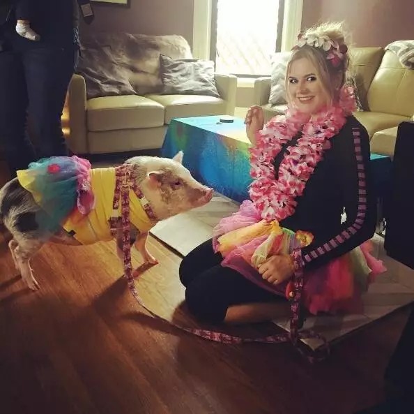 小胖猪喜欢穿得色彩斑斓的，看着就让人觉得开心。小胖猪的到来，不仅给机场和医院的朋友们带来了很多欢乐，也让大家见识到了小动物的治愈能力。希望以后有更多的小动物加入这个大家庭，给大家带来更多欢乐。希望在中国也能有这样的活动。