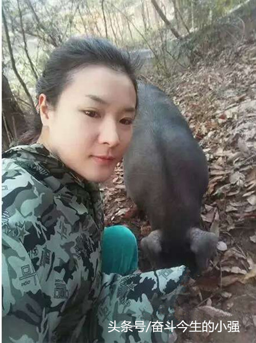 因养殖成本确实高，山地猪目前的零售价是38元/斤，销售也已在线上线下全面铺开。在怀化市区开有专卖店，线上有与电商平台合作，并开了自己微店，同时进行微社区营销等。全国发货，高铁能到的地方保证24小时新鲜到家。