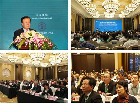 京鹏畜牧：我在《世界农场动物福利大会》听报告​