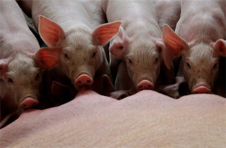 这些关系国计民生的重要问题，国家统计局今天一一回应