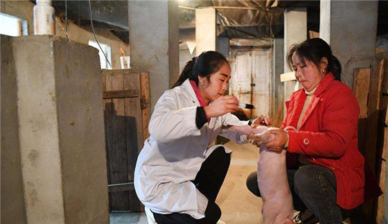 养殖想赚钱除了靠补贴，还得靠技术。氯前列烯醇对于养电子游艺网站来说并不陌生，养殖户在养母猪的过程中都会用到。此药经济实惠，效果确切，如果养殖户会用，它会帮你省时省力又省钱，今天就给大家分享一下氯前列烯醇的一些妙用。