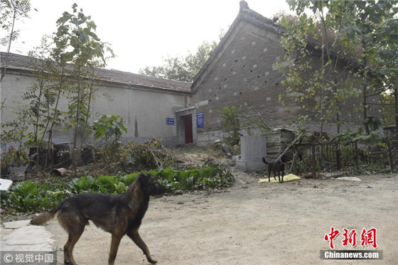 2017年11月7日消息，济南章丘张乙郎村隐藏着一座大圣寺，近日，记者几经周折终于在村里一处养电子游艺网站院内看到了这座寺庙。据大圣寺碑文记载，张乙郎村大圣寺始建于宋哲宗元祐元年，也就是公元1086年，距今已有931年的历史。