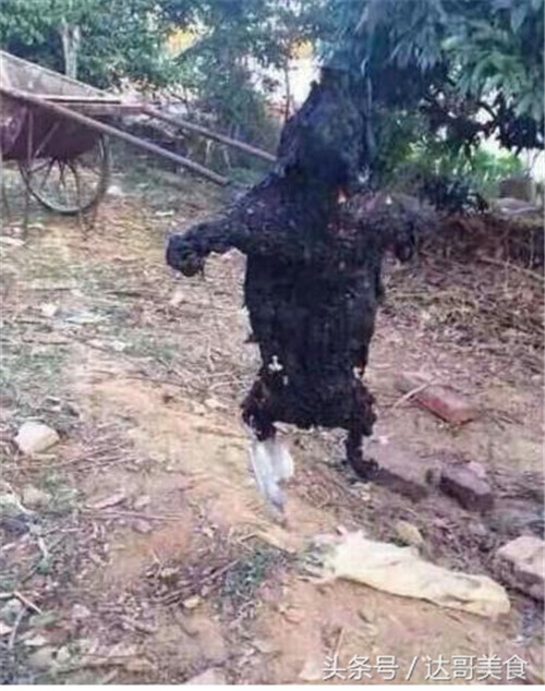 电子游艺平台内的芳香会以作品为中心以每秒366米的超音速迅速向四周传播，闻其味者无不叹之，故有“一家烤焦猪，四邻皆闻香”的传奇说法，此烹饪之术曾失传于世，想不到重现江湖，让人感叹。哈哈哈