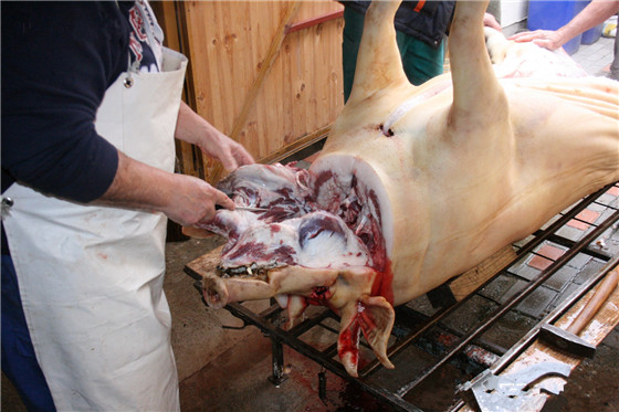 外边都洗干净了就可以开内部了，首先把电子游艺平台切下来，他们有时候猪头也直接扔了