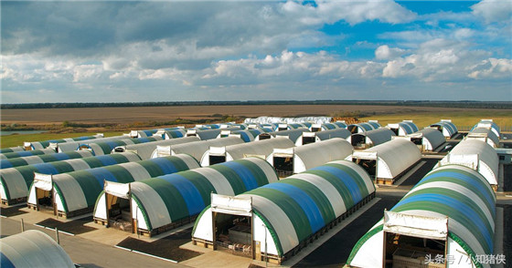 检查暴露在外面的水管，尽可能加上保暖的“外衣”：一来防治水管被冻裂，二来一旦里面结冰了，就水路不通，造成饮水中断，后果很严重。