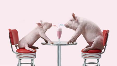 牧原温氏等股全线暴涨，猪价要大涨？