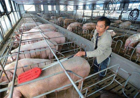 大养电子游艺网站
就一定正规吗？农村小规模养电子游艺网站
不服！