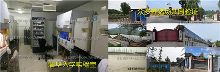 北京中水华峰电子游艺网站
除臭和粪污水“0”排放技术