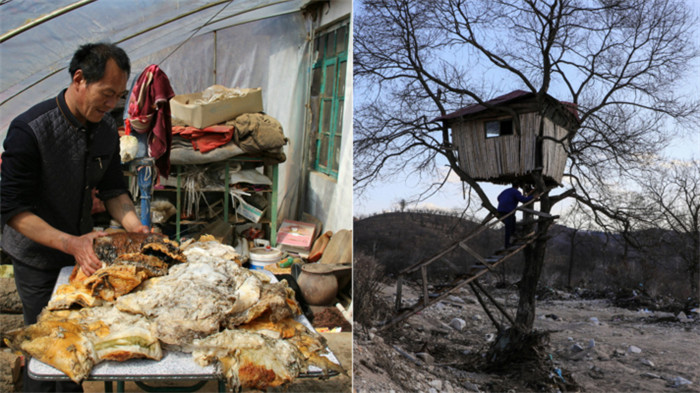 大千世界，无奇不有。2015年3月，辽宁省的王承德在机缘巧合之下捡到140斤的太岁，随后以每斤两万元的价格卖掉，获利300万。当年王承德的这一事件炒得沸沸扬扬，而王承德也不拒绝大家的参观和采访。