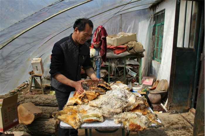 如果某一天天上掉下三百万给你，你会怎么花？炒股、环游世界还是买两套房子？一夜暴富后迅速挥霍的不在少数。而王承德用150万建山庄，20多万买驴，18万买车，同时还养鸭、承包鱼塘。