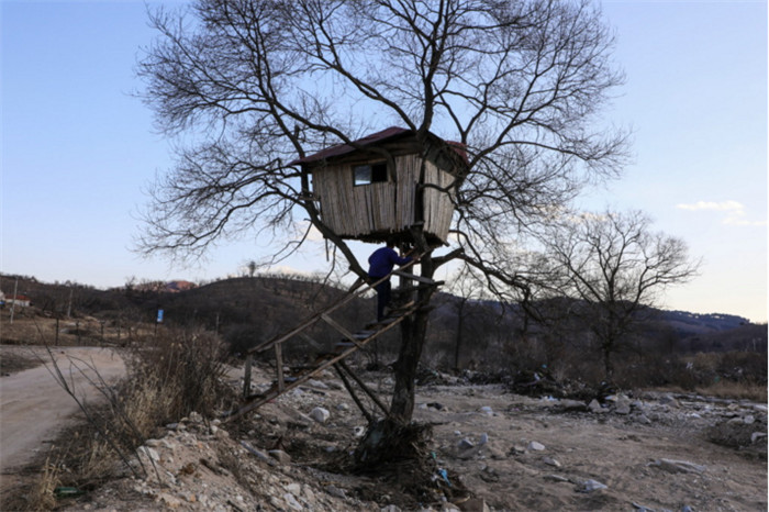 树屋是之前看鱼时建的，也是老王的宝贝，现在鱼没了，但是老王还是住在这里。