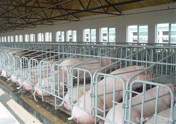 在接种疫苗时禁用，因为会影响疫苗免疫效价，降低疫苗的免疫效果或不起作用