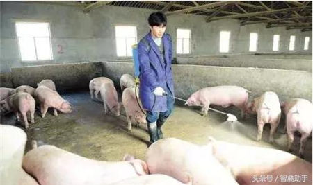 再谈五号病，您的电子游艺网站
做准备了吗？