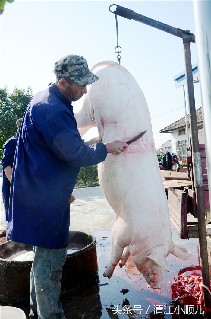 在年前，城里人到乡下旅游，或垂钓，或采摘果实时，就与农民达成口头协议后，还下数字不等的押金，并承诺高于市场价格购买。