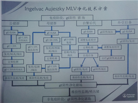 中国电子游艺网站下载安装
：猪伪狂犬病防控与净化要点