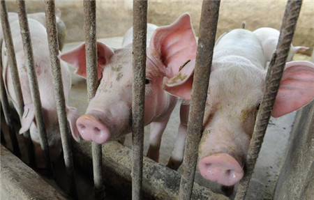 电子游艺网站
管理中需要注意哪些？