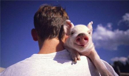 如何做一个出色的电子游艺网站
管理人员？