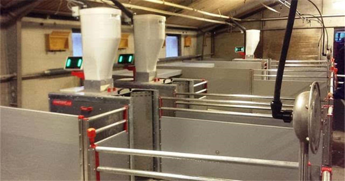 主动饲喂站，大大削减人工饲喂本钱，还能检测猪只体重，依据猪的发展环境主动下料 