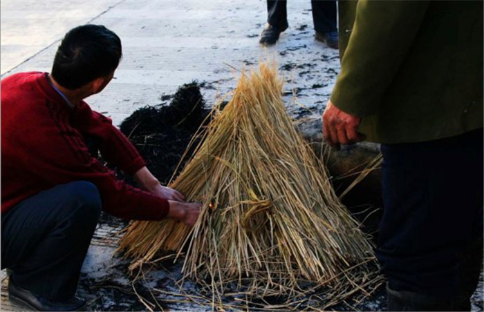 很多人小时候都见过屯子杀年猪的情形，首先是用开水烫，而后去毛，但是在这里倒是间接用稻草架在上面用火烧 