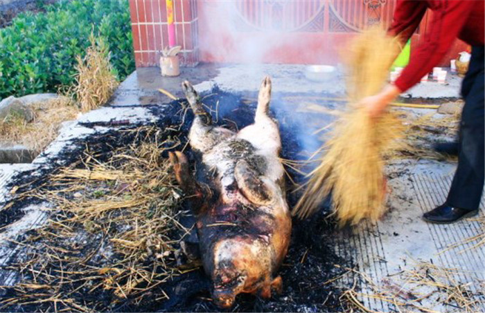 一壁烧好今后，再翻过来烧另一壁，控制火候至关重要，烧得好的猪毛能够连根刮除，皮烧透而不焦不裂，吃起来口感更佳。 