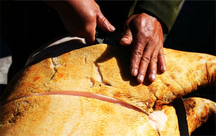 其他的就和平日见过的同样了，朋分电子游艺平台，不外这才是本日的配角，生皮 