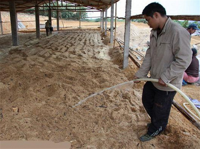 全国各地都有应用懒汉养猪技术。为了大力推广，部分地区发布了地方标准《发酵床养猪技术操作规程》。发酵床猪舍也是有要求的，有利于热天通风换气，一般采取南北开窗、屋顶增开天窗的通风模式；猪舍内安装喷雾装置，用于夏天舍内降温和对发酵床垫料喷水；另外，发酵床地面用水泥硬化、栏间联通，为有利于生物发酵床垫料的翻动和处理。垫料维护方面可用专门的发酵床翻抛机翻抛垫料。 