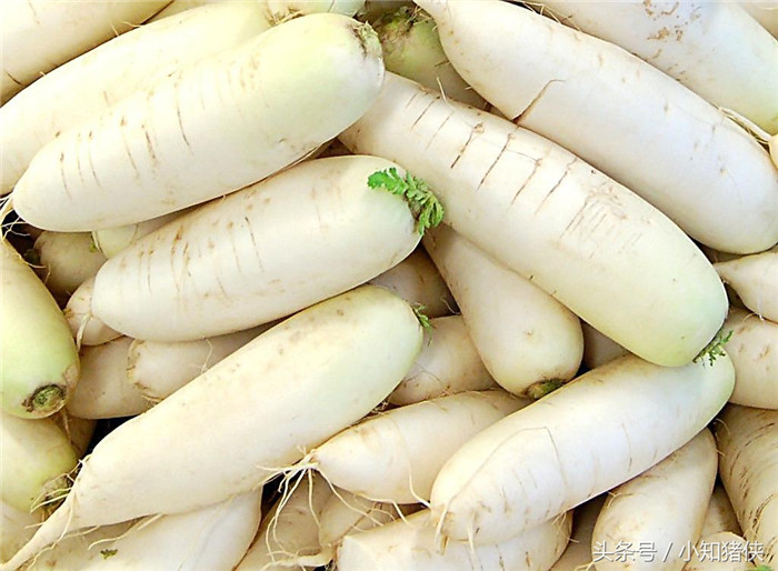 2.白萝卜：对猪来说算是麦麸一类的粗纤维食品，其实养营并不算高，但却有利用猪消化和肠道蠕动，从而增加饥饿感，一句话说完就是食欲增大，但要注意不能让怀胎母猪食用，会导致流产。 