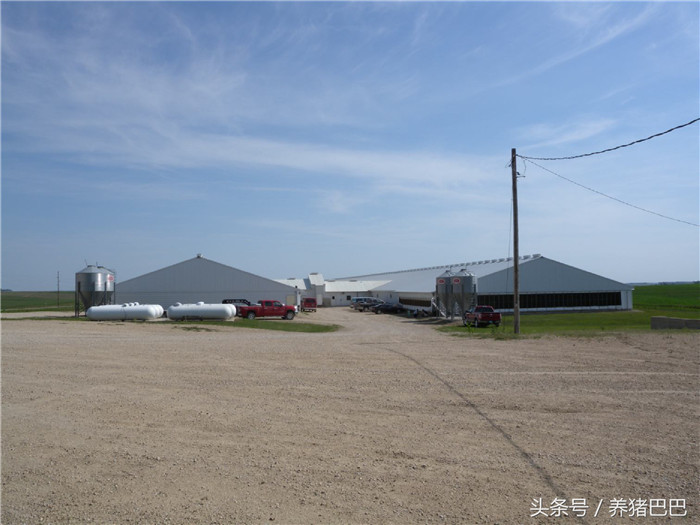 美国3000头母电子游艺网站，使用电子群养系统 