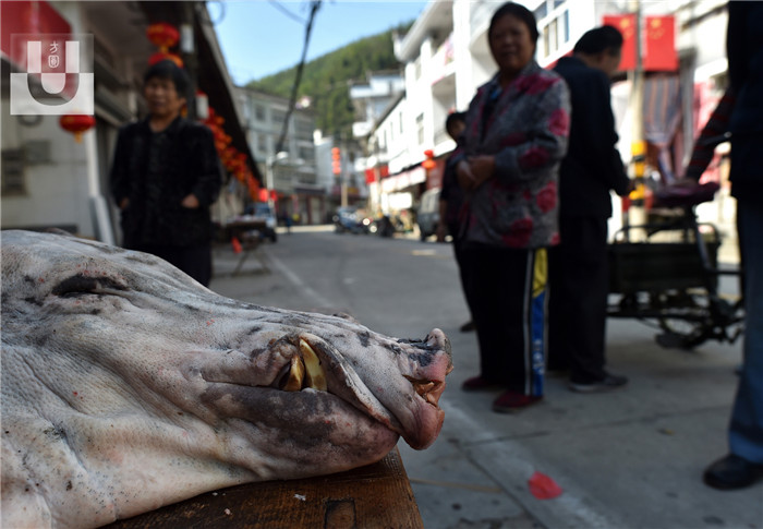 一天辛苦的战利品被放在院子里，吸引了许多村民围观，也让不少人暗暗呷着口水，和猎人熟悉的村民早就私下里约好，“给我们分点野电子游艺平台吧”。 