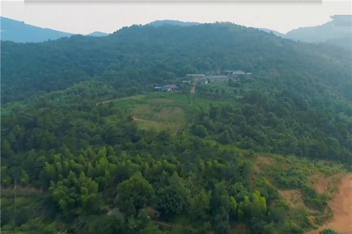 在刚开始养猪的时候，有近半年的时间，他一个人吃住都在山上，白天割猪草，晚上看猪圈。村里有人给他介绍女朋友，相亲50多次都没有成功。有的女孩还对他说“打死都不嫁给养猪的，天天脏的要死，让我天天跟着你去铲猪粪、喂猪，那绝对是不可能的事情。”他对记者说，当时听了这话都想打人。 
