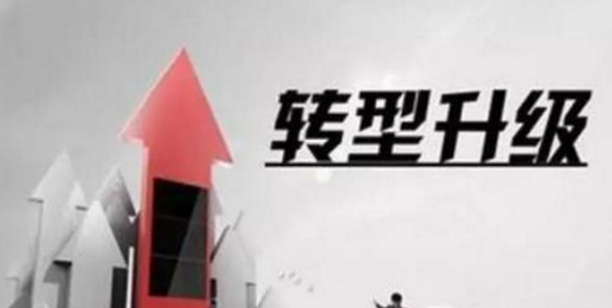 中小饲料企业的出路在哪里？