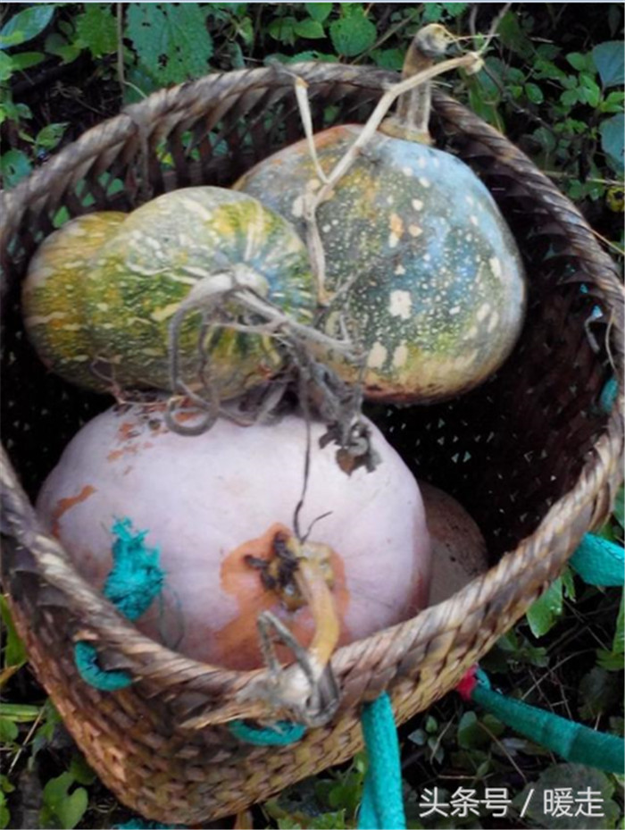 一次只能背几个。 