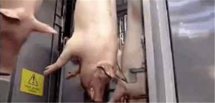 任何改变刚看上去时都很糟糕。那是因为你的眼睛还不适应，其实是太发达、太先进了。 