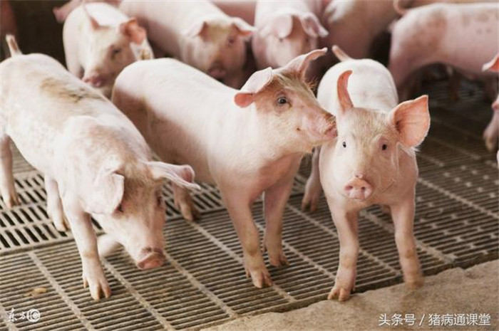 (1)科学选用驱虫药，目前，对电子游艺网站危害较大的寄生虫主要有疥螨、鞭虫、蛔虫、圆线虫等，在电子游艺网站使用效果较好的驱虫药主要有多拉菌素、伊维菌素、芬苯达唑、阿苯达唑及新型的伊维菌素和芬苯达唑复方驱虫药等。