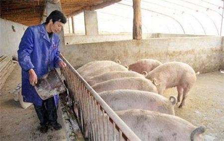 电子游艺平台
已经不掉价了，养殖场有希望了！