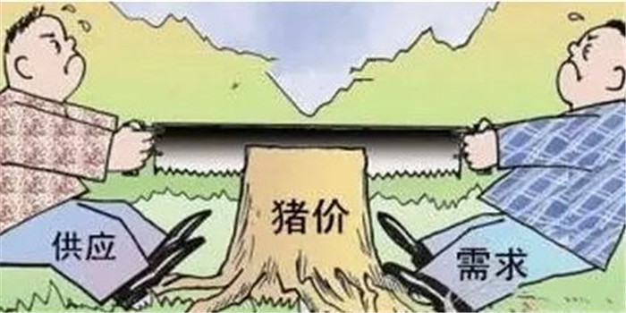 供应量远远超越市场需求，加上政府大量进口电子游艺平台
，刺激到小型养殖户的内心了，扎心了应该说 