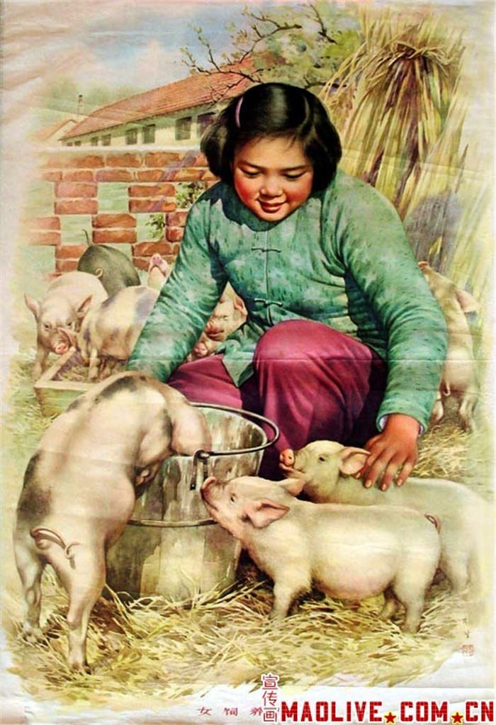 过去的小孩好辛苦啊，这么小就帮家里养猪 