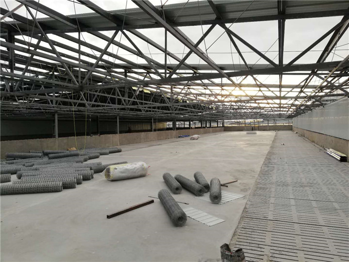 猪舍整体使用的是钢架结构 