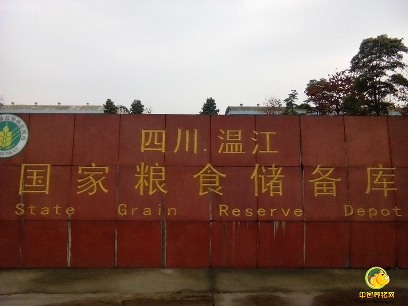 粮库收购玉米小麦高粱