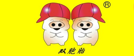 慈善公益奖——双胞胎集团