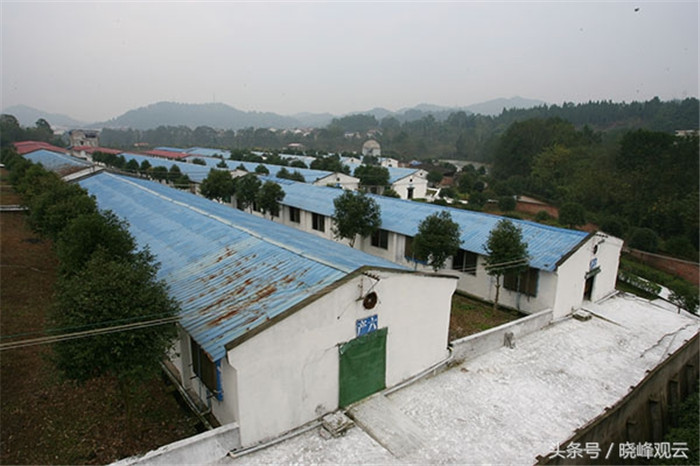 环保风暴之下，个人散养猪面临淘汰，只有规模化养电子游艺网站
能存活下来。而一个规模化的养电子游艺网站
起码必须具备繁育、长成、育肥等几个车间，以及全套的粪便处理系统。 