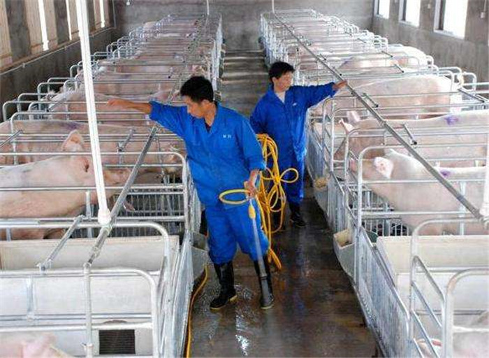 而我呢？  想晒晒被子，天气好不好！