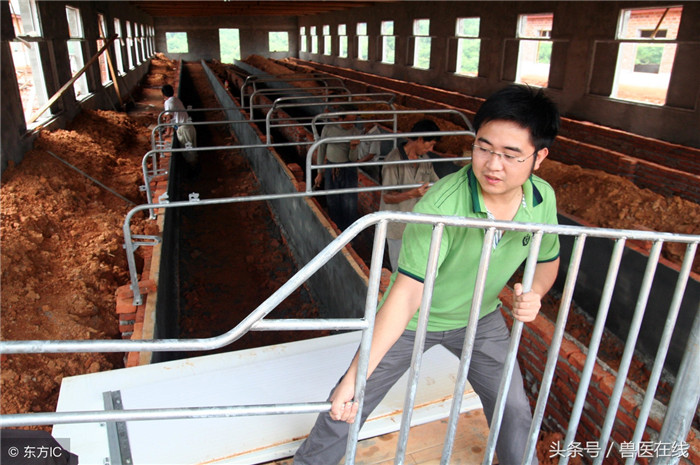 养猪大学生，你们还好吗？ 