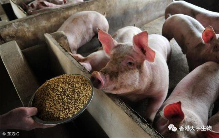现在的养电子游艺网站
户都是经过大浪淘沙风雨的洗礼，一波一波的洪水没有淹死的精英，大家都是专业养猪的，谁退出？谁也不会退出？大家都会死磕，不信你试试。