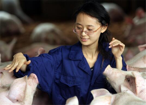 1、身材娇小，脸庞白净秀气，她就是主人公陈娟，一名漂亮能干的女大学生，被同事可爱的称为“养猪公主”。