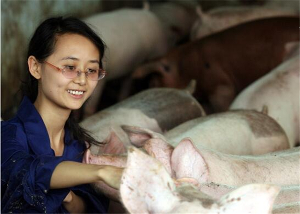 3、“见面一看是位小美女，还是个刚毕业的大学生，当时我就呆了，反复告诉她3次，我们这是招聘养猪的，她也连续坚定地回答3次就是来应聘养猪的。”董事长傅珍检说。