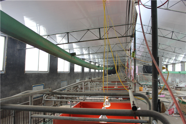 4.为了提高猪舍的环境温度，他给猪舍加了热风炉，猪舍里那个长长的绿色管子就是给猪舍送热风的。