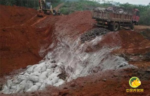 3、城区消防队于当天晚上22时左右将火扑灭。据消防部门初步调查，事故的原因是配电箱起火引燃屋顶。由于电源被烧毁，通风系统瘫痪，未能及时把有毒气体排出，造成大量的母猪和猪仔窒息死亡。