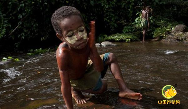 6、巴族男孩长到6岁，就要被送到成年男人集体居住的地方，在那里学习如何狩猎。