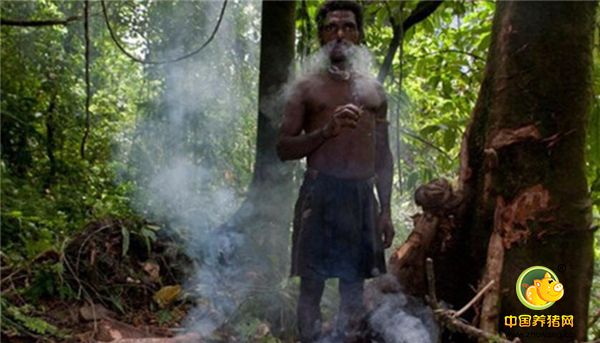 7、家居住在简陋的房子里，没有电、没有娱乐活动，男人们闲暇时刻在丛林里抽烟。